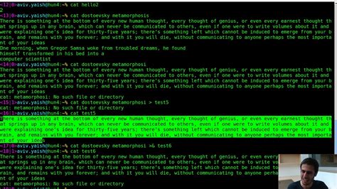 tcwshs|tcsh tutorial.